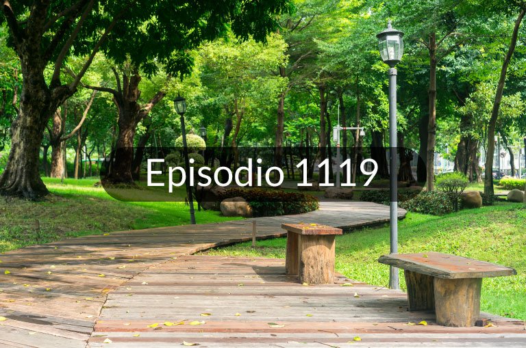 1119. ¿Dónde es mejor vivir? ¿En el campo, la playa o la ciudad?