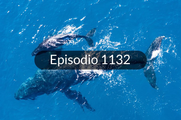 1132. Noticias en español